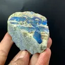 specimen video
