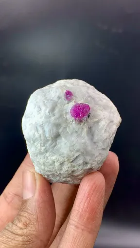 specimen video