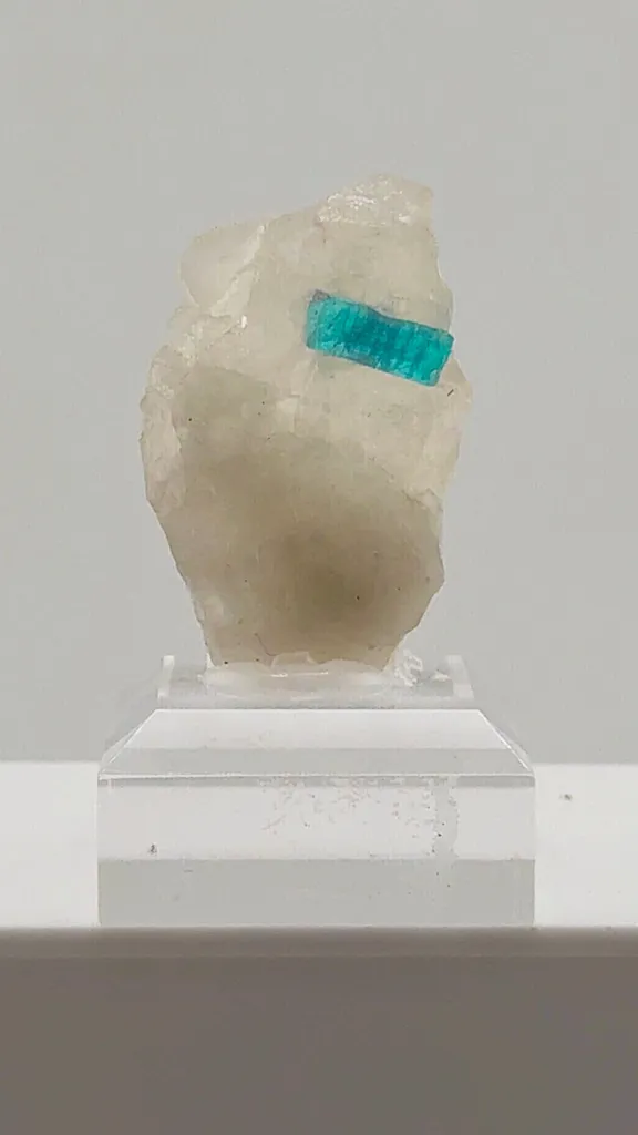 Beautiful Paraiba Blue Tourmaline in Quartz image