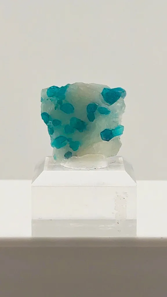 Beautiful Paraiba Tourmaline in Quartz from Brazil image
