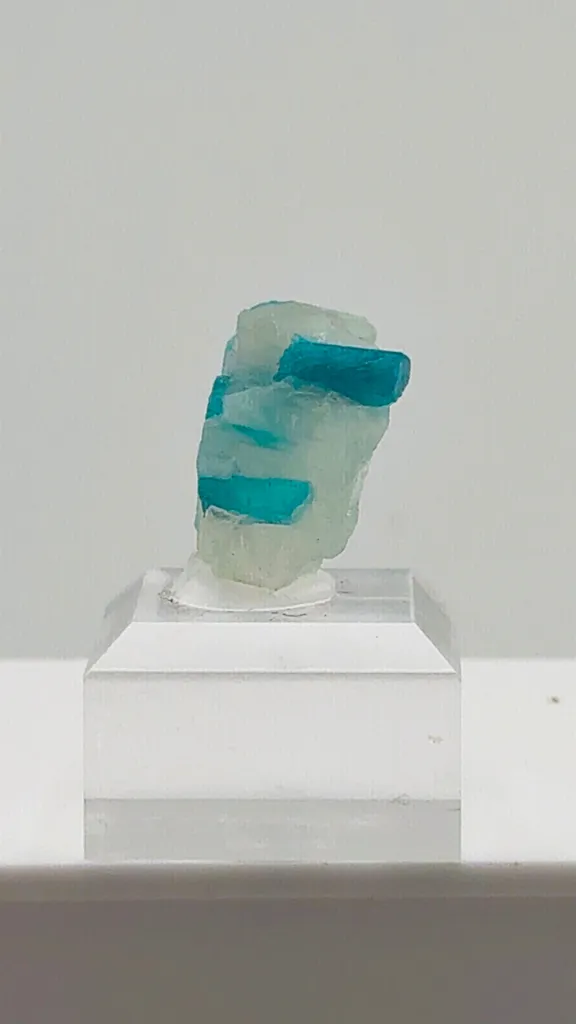 Beautiful Paraiba Tourmaline in Quartz from Brazil - image 2