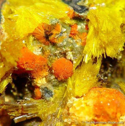 Becquerelite With Masuyite, Fourmarierite and Uranophane - image 2