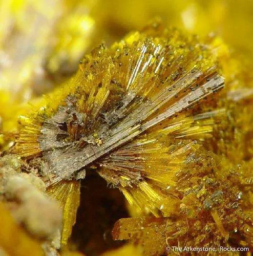 Becquerelite With Masuyite, Fourmarierite and Uranophane - image 4