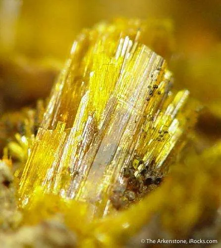 Becquerelite With Masuyite, Fourmarierite and Uranophane - image 3