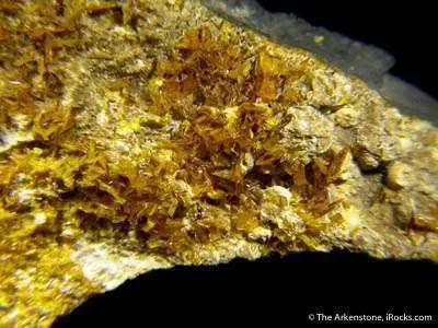 Becquerelite With Studtite, Rutherfordine and Fourmarierite on Uranophane image