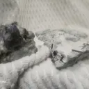 Benitoite - image 4