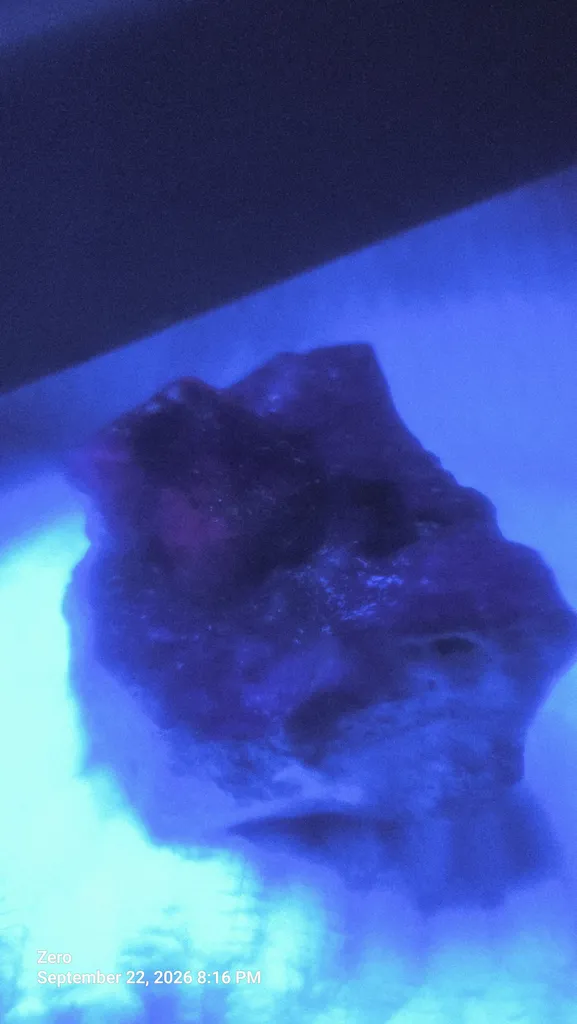Benitoite - image 7