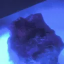 Benitoite - image 7
