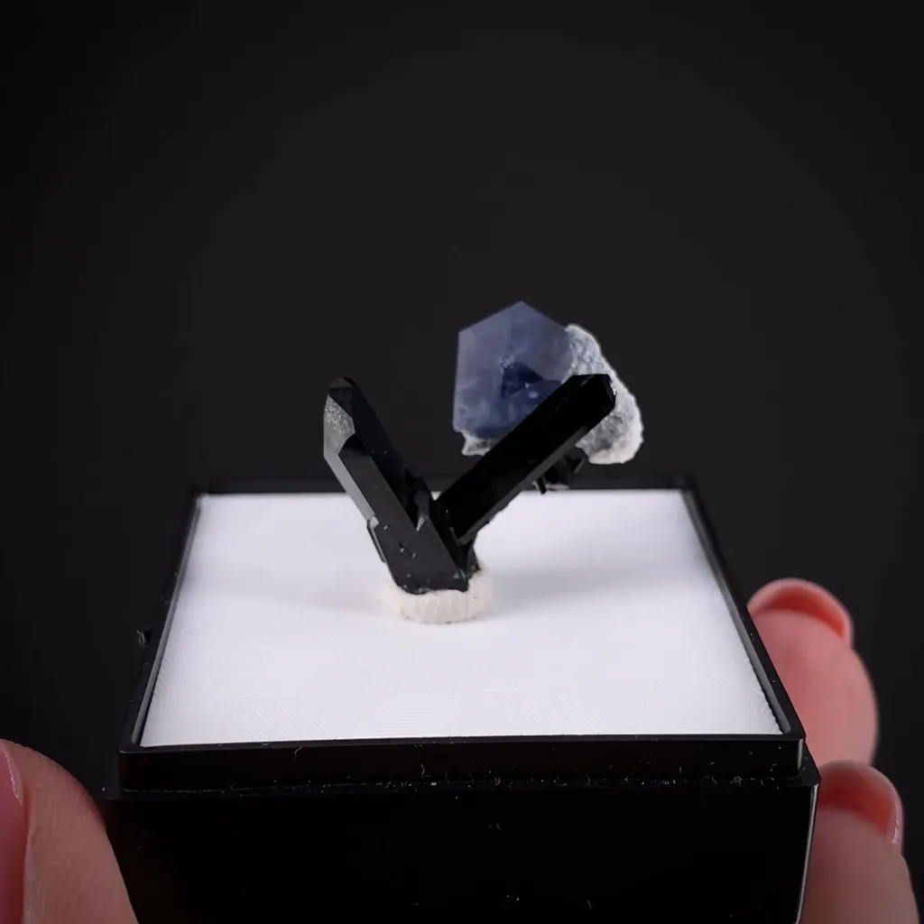 Benitoite and Neptunite - image 2