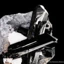 Benitoite and Neptunite - image 3