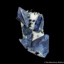 Benitoite and Neptunite - image 1