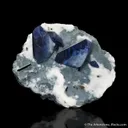 Benitoite and Neptunite with Joaquinite-(Ce) - image 1