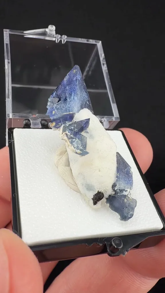 Benitoite from California State Gem Mine, California, USA - image 2