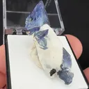 Benitoite from California State Gem Mine, California, USA - image 2