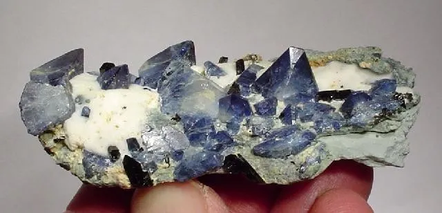 Benitoite, Neptunite image