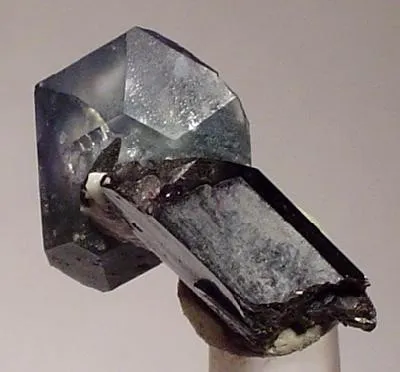 Benitoite, Neptunite image