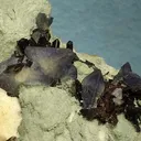 Benitoite, Neptunite - image 2