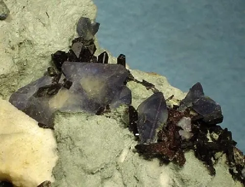 Benitoite, Neptunite - image 2