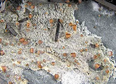 Benitoite, Neptunite and Joaquinite - image 4