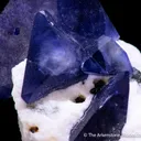 Benitoite on Natrolite - image 5