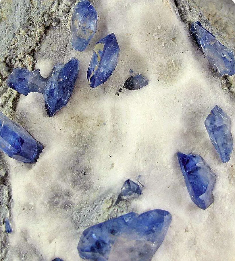 Benitoite on Natrolite - image 2