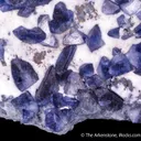 Benitoite on Natrolite - image 6
