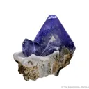 Benitoite on Natrolite - image 1