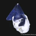 Benitoite on Natrolite - image 1