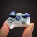 Benitoite on Natrolite - image 1