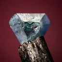 Benitoite on Neptunite - image 2