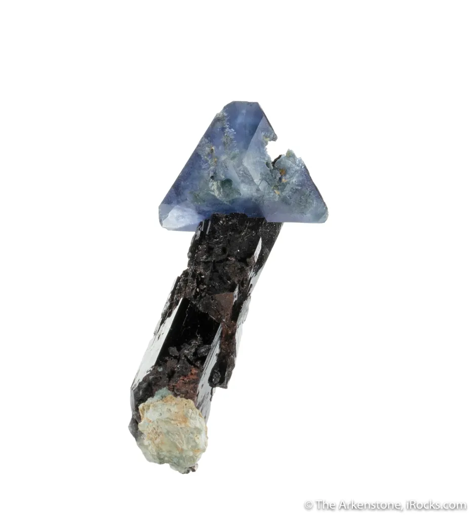Benitoite on Neptunite image