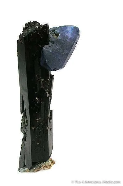 Benitoite on Neptunite image