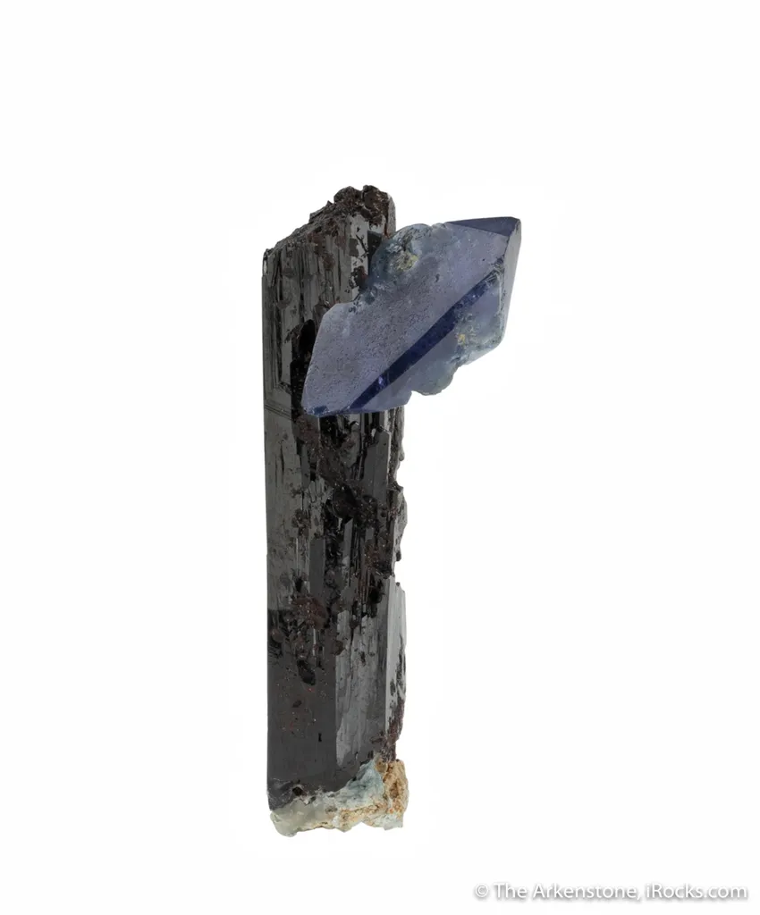 Benitoite on Neptunite - image 4