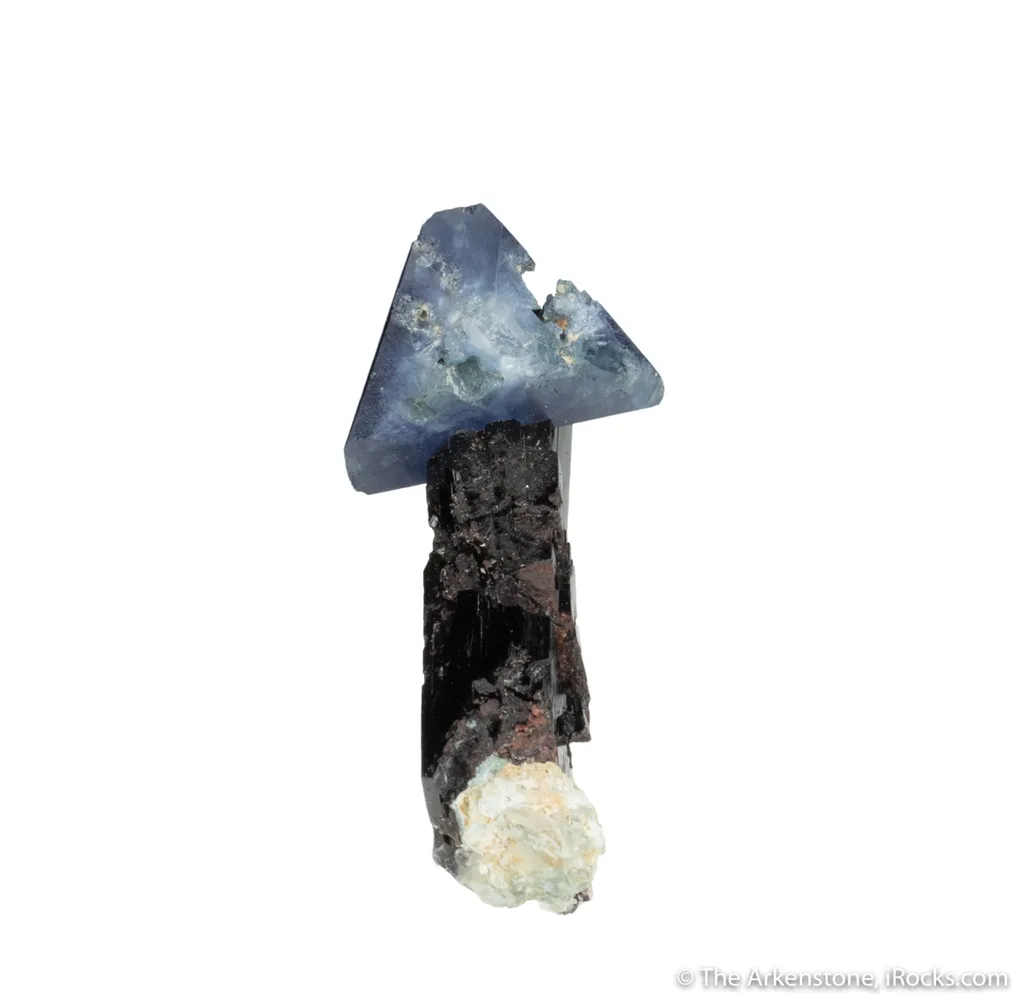 Benitoite on Neptunite - image 3