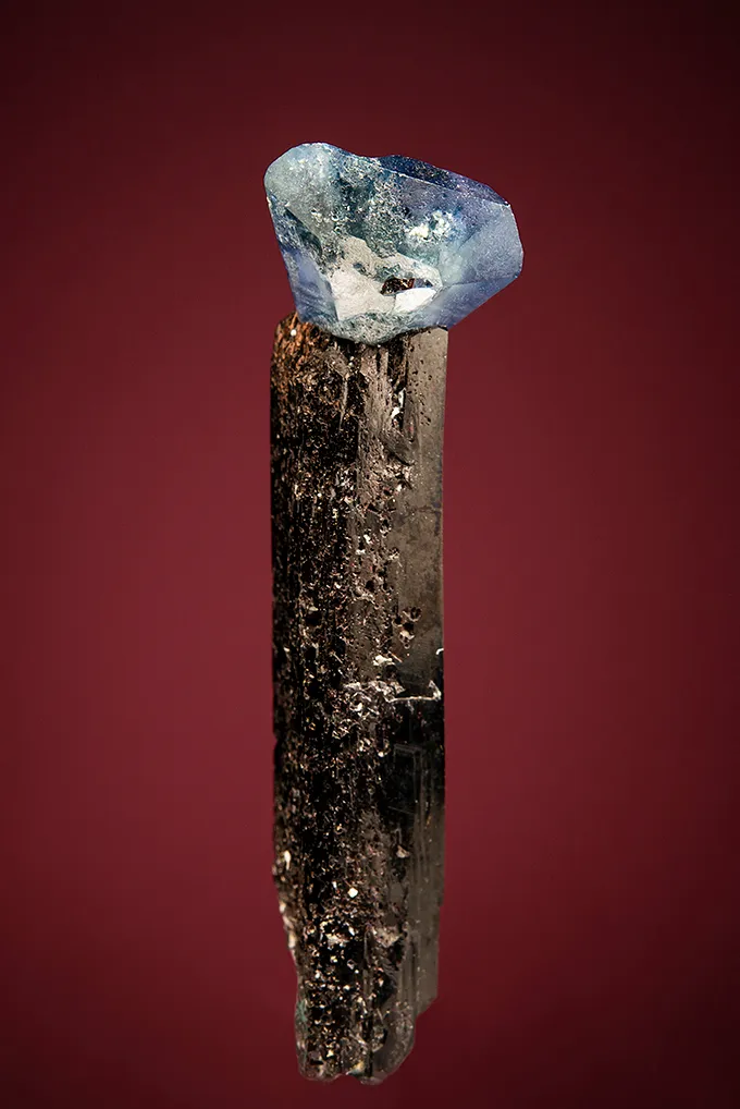 Benitoite on Neptunite image