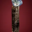 Benitoite on Neptunite - image 1
