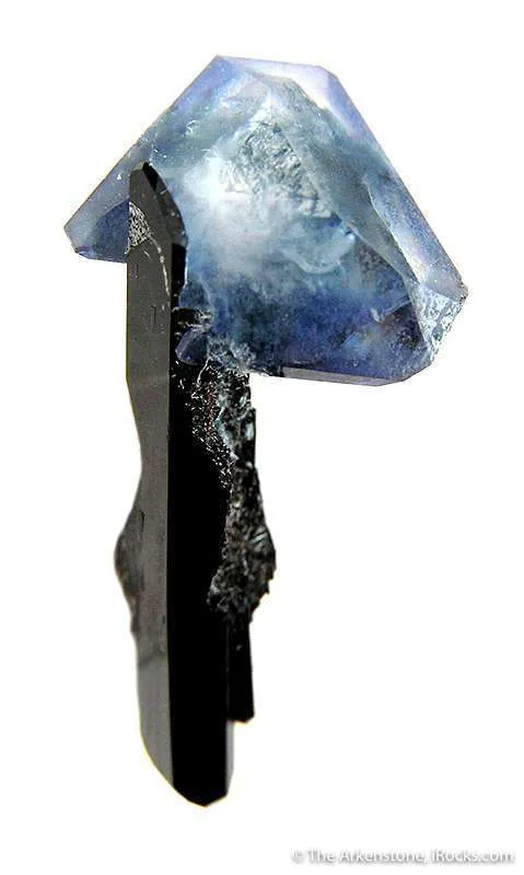 Benitoite on Neptunite - image 2