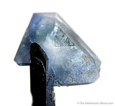 Benitoite on Neptunite - image 3