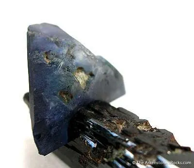 Benitoite on Neptunite - image 3