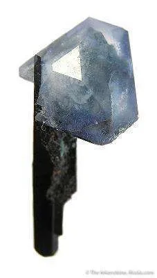 Benitoite on Neptunite image
