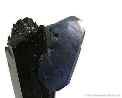 Benitoite on Neptunite - image 2