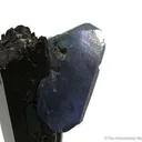 Benitoite on Neptunite - image 2