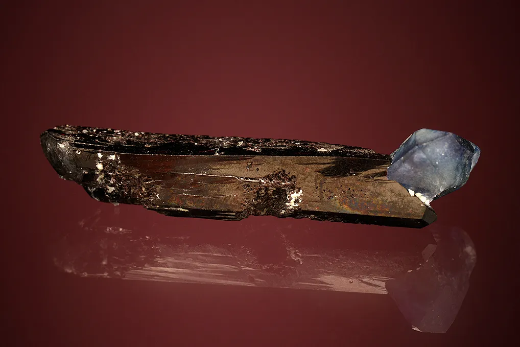 Benitoite on Neptunite - image 5