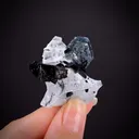 Benitoite (rare crystal shape) with Neptunite - image 1