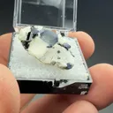 Benitoite with Neptunite - image 2