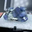 Benitoite with Neptunite - image 2