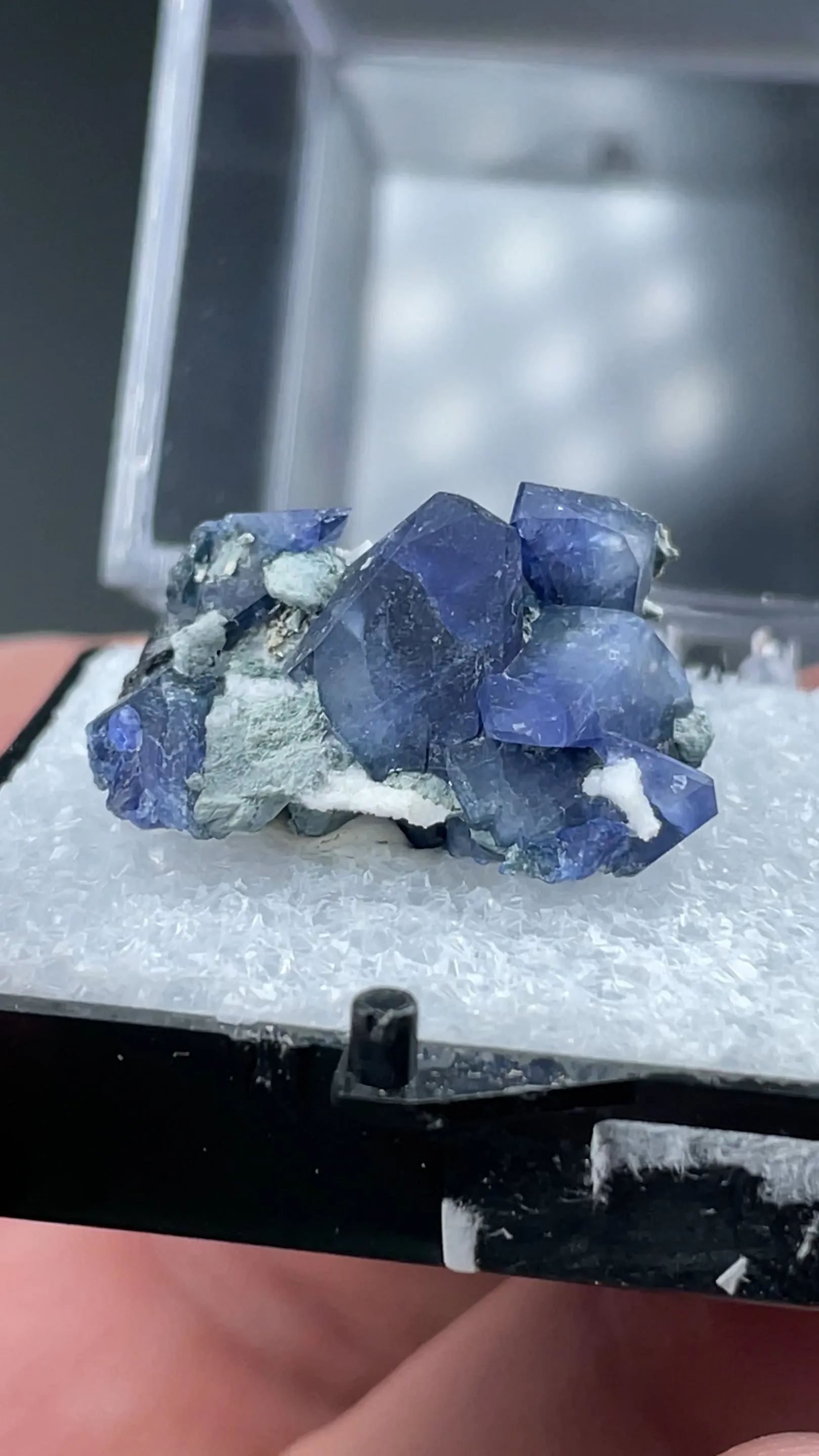 Benitoite with Neptunite - image 2