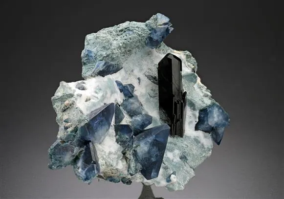 Benitoite with Neptunite image