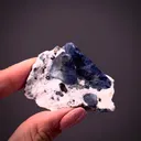 Benitoite with Neptunite - image 2