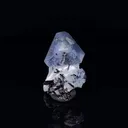 Benitoite with Neptunite - image 2